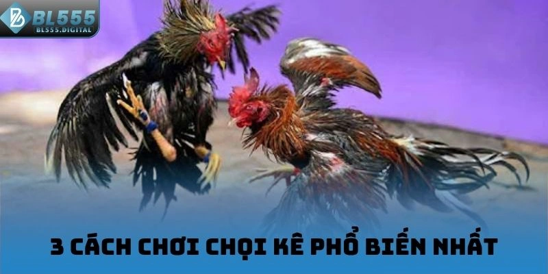 3 cách chơi chọi kê phổ biến nhất