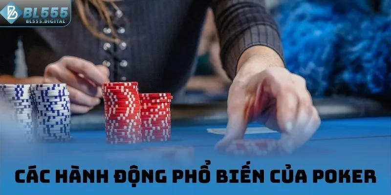 Các hành động phổ biến của Poker