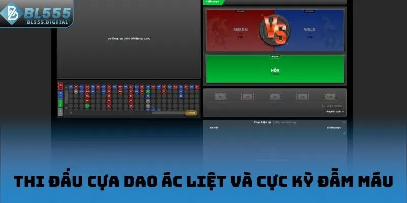 Thi đấu cựa dao ác liệt và cực kỳ đẫm máu