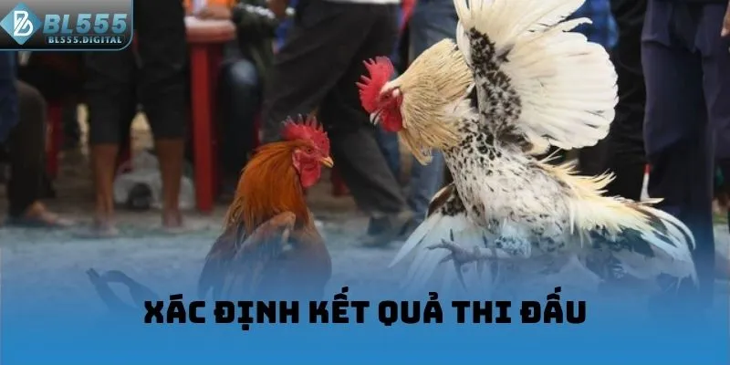 Xác định kết quả thi đấu