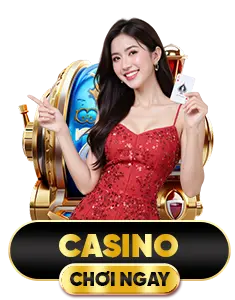 casino bl555